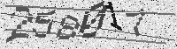 Security code image