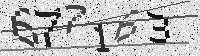 Security code image