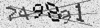 Security code image