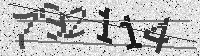Security code image