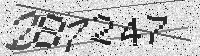 Security code image