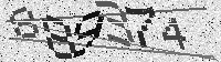 Security code image