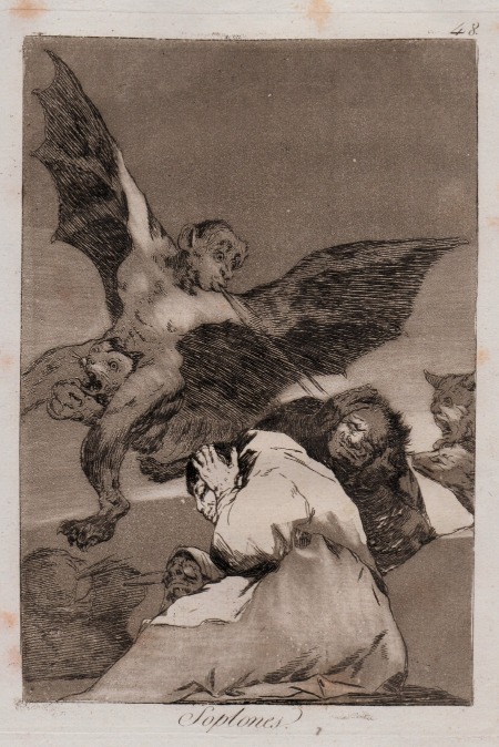 Stampe dal XV al XX Secolo
