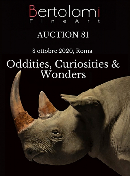 Oddities, Curiosities & Wonders