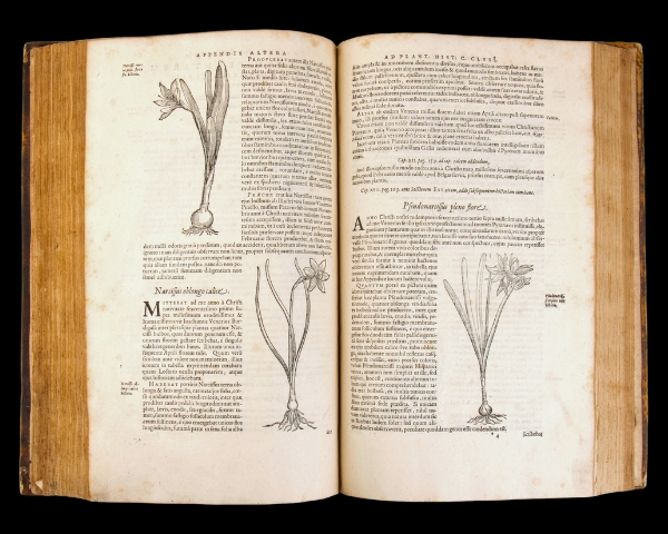 Libri antichi, rarità bibliografiche e prime edizioni del '900